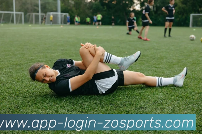 中欧体育APP发展历程